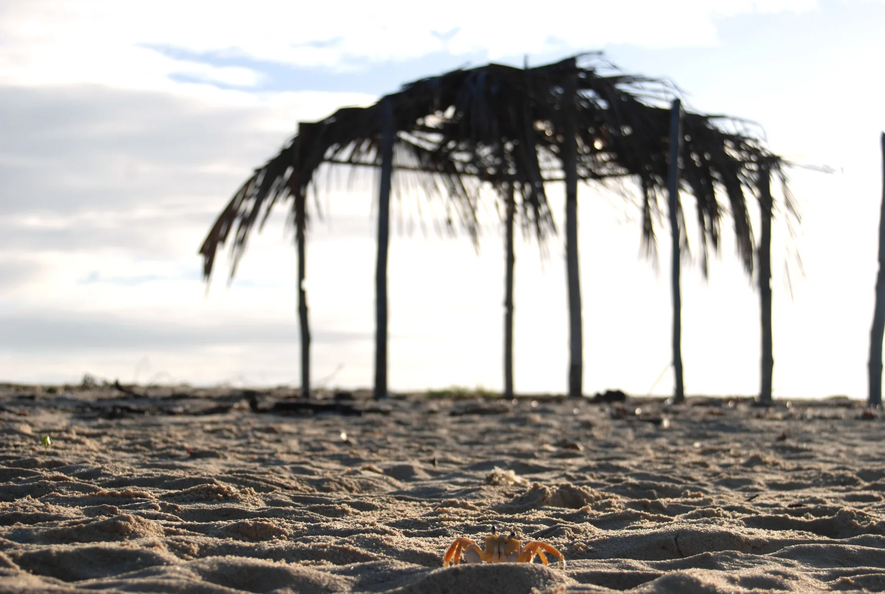 Cabana de palha sobre a areia de uma praia vizinha a Caraíva